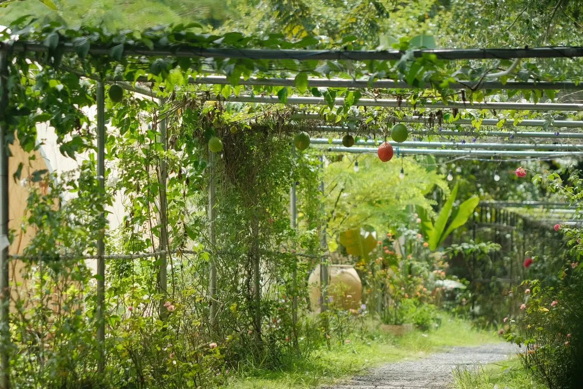 Ebener Gartenweg zwischen Bepflanzung