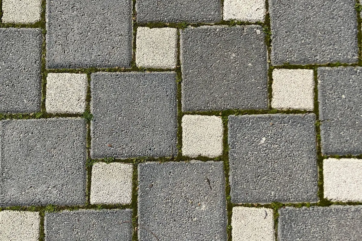 Geometrisch gepflasterter Weg mit Moos in den Fugen