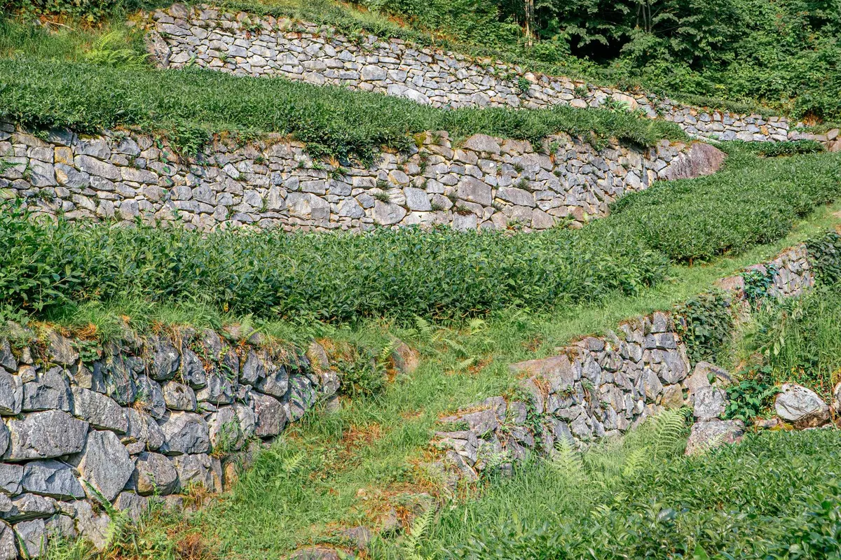 Terrassierter Garten mit Natursteinmauern