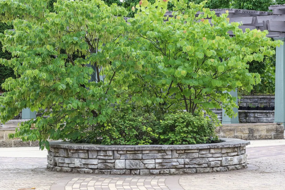 Rundes gemauertes Hochbeet aus Naturstein im Garten