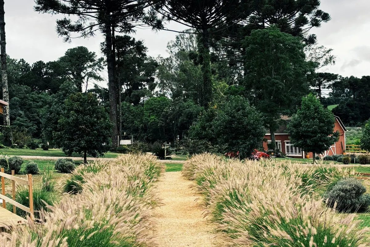 Kiesweg mit Ziergräsern in einem Garten