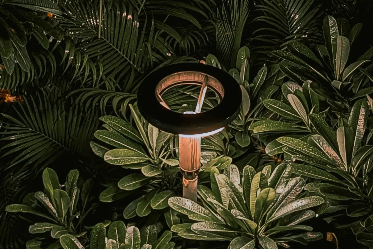 LED-Gartenleuchte zwischen Pflanzen bei Nacht