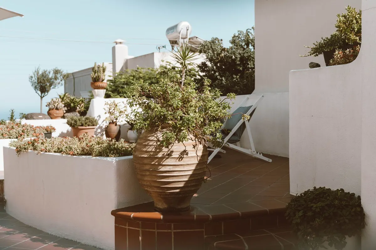 Bepflanzte Kübel und Töpfe auf einer sonnigen Terrasse